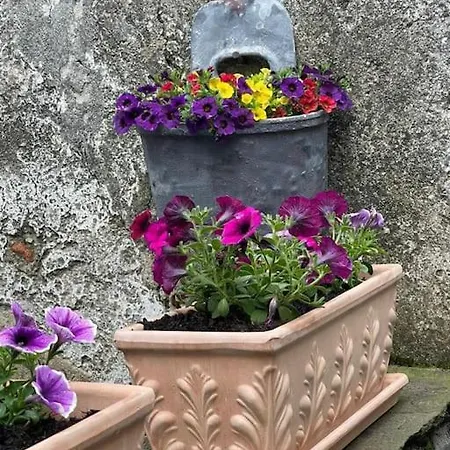 Rustico Porta *